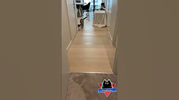 شبح مضحك جدا قطط مضحكة جدا مواقف مضحكة جدا مقاطع مضحكة جدا فيديوهات مضحكة دموع الكوميديا 