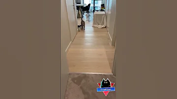 شبح مضحك جدا قطط مضحكة جدا مواقف مضحكة جدا مقاطع مضحكة جدا فيديوهات مضحكة دموع الكوميديا 