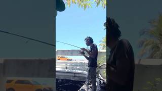 Bridge Fishing in Miami Beach Was INSANE! Snappers Everywhere #Fishing #MiamiBeachFishing #bridge