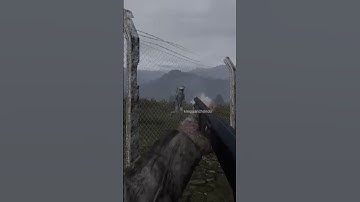 Freshie Firefight #dayz #dayzofficial #dayzstandalone #pvp #survival #shorts