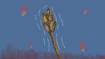 ✨ Counting Stars ~ M.A.P part 3 (Animation)