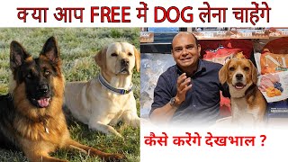 Getting Free Dog or Puppy  फायदे और नुकसान? Pet Care | Problems & Solution | Baadal Bhandaari