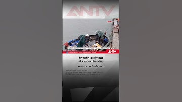 Áp thấp nhiệt đới đang di chuyển vào Biển Đông, cảnh báo gió mạnh biển động #shorts #apthapnhietdoi