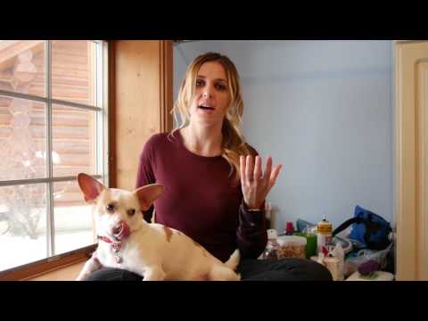 Video: Vet-Approved Tips för att hantera en hunds brutna nagel