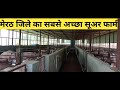 HOW TO START PIG  FARMING INDIA | Pig Farm Structure | Suar Palan kaise karen | Pig Farm Design