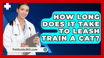 How Long Does It Take to Leash Train a Cat? - PetGuide360.com