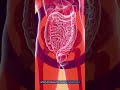 12 удивительных причин бессонницы: узнайте о скрытых виновниках бессонницы