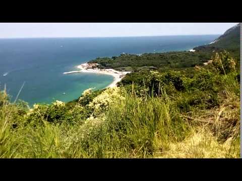 V 20100101 060058
