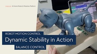Maicat AI Home Robot & Robotics Platform: Balance Control