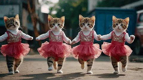 Video 7637811: cat dance compilation, funniest cats compilation, furry feline, laugh funniest cats, loud cat, kitten dance