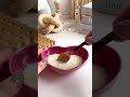 ダイエット中に甘いもの欲しい人はこれ作って🤎プロテインチョコプリン🤎レシピはコメント欄🧸#ヘルシースイーツ #ダイエットレシピ #プロテイン #プリン #手作りスイーツ #砂糖不使用スイーツ