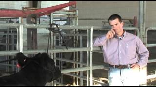 Jason Cleere - Youth Beef Cattle Program - Nutrition Feeds