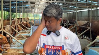 KESEDIHAN AKAN BERPISAH DENGAN SAPI KESAYANGANYA OWNER LESTARI FARM❗