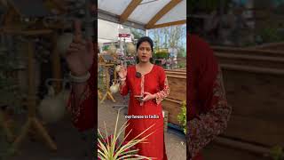 మ Garden కస కతత Plants కనన..