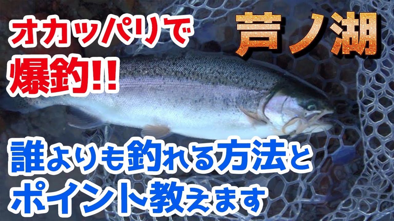芦ノ湖でブラウントラウトを狙い撃ちしてみたら爆釣した！／HartDesign