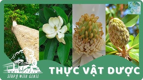 THỰC VẬT DƯỢC | Bài 1: Tế bào thực vật - Mô thực vật