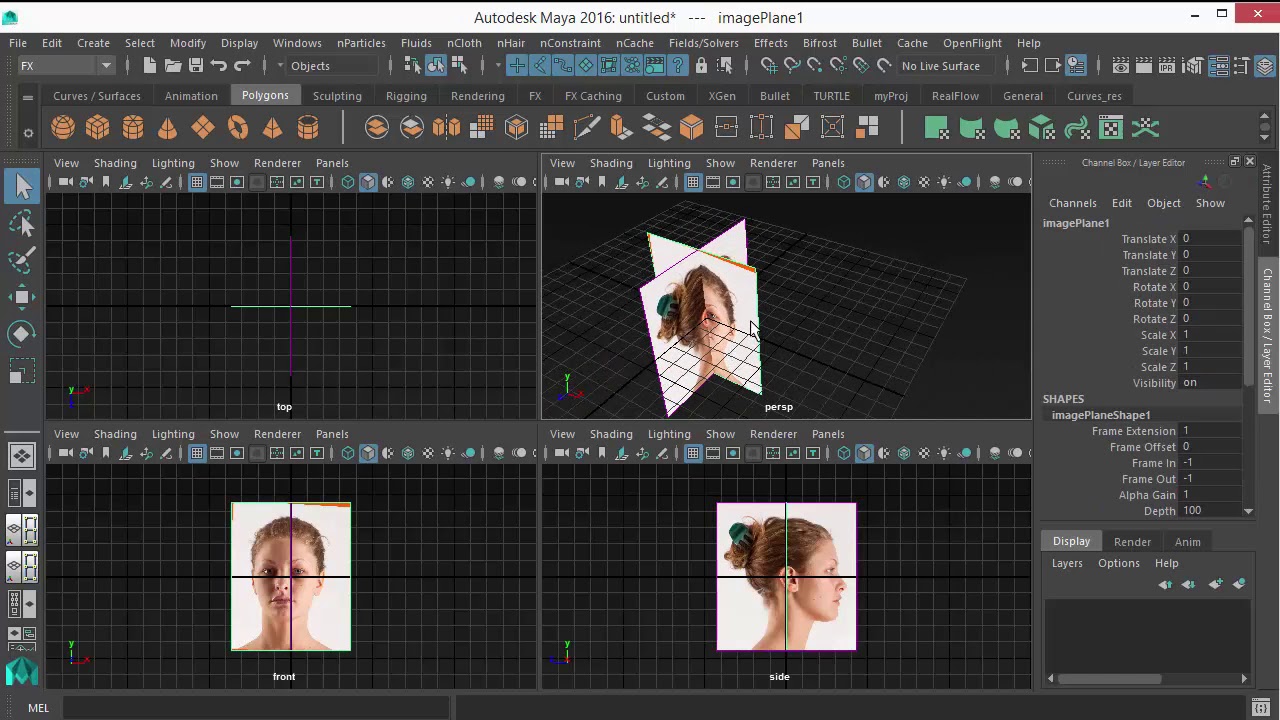 Maya Import reference. Video reference.