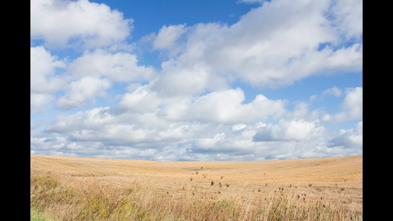 Dufferin County | David Visentin