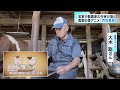 アニメで描かれる酪農の世界 東京の現状は? 農家の日常描く「百姓貴族」放送開始
