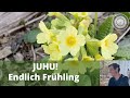 JUUHHUU endlich Frühling, der perfekte Ostertisch