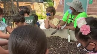 Famous COVID-19 relief dollars help to fund SAISD’s Jumpstart program Net Worth