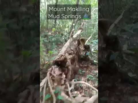 Видео: Гора Макилинг - действующий вулкан?