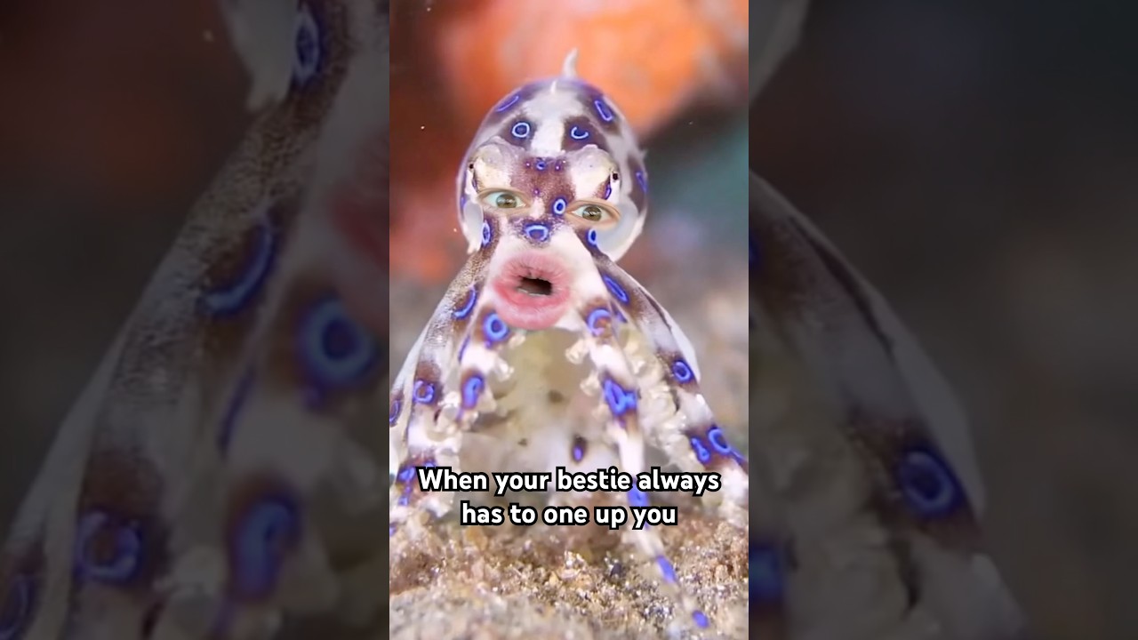 But in this case, bestie’s an octopus