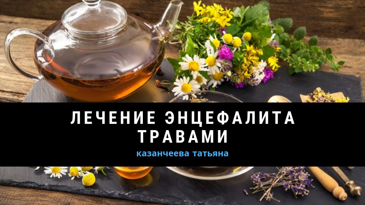 Энцефалит. Лечение и профилактика. 69 выпуск