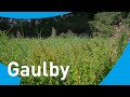 Reed Beds In Leicestershire Our Investment In Our Region 2024 Reed Beds In Leicestershire Our Investment In Our Region 2024