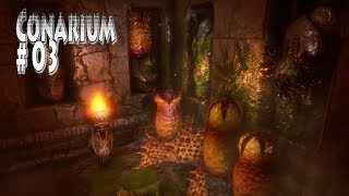 Conarium s 03 Звездные врата Conarium s 03 Звездные врата
