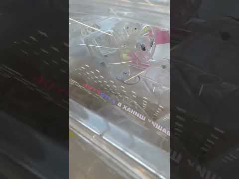 سياره كاملة من الزجاج سيارات سيارات معدلة سيارات فاخرة  