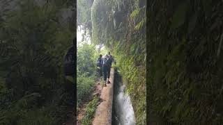Nature in Bogor #rainsound #relaxation #nature #naturelovers #alam #bogor #waterfall