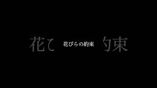 花びらの約束 #music #jpop #オリジナル曲