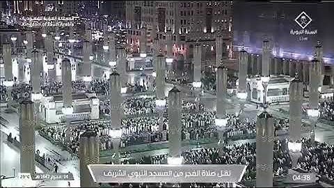 صلاة الفجر المسجد النبوي الشيخ عبدالله القرافي السبت ٢٤ محرم ١٤٤٧هـ فواتح سورة فاطر.