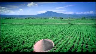 Download Lagu Kacang Garuda - Testimonial Petani 30\ MP3