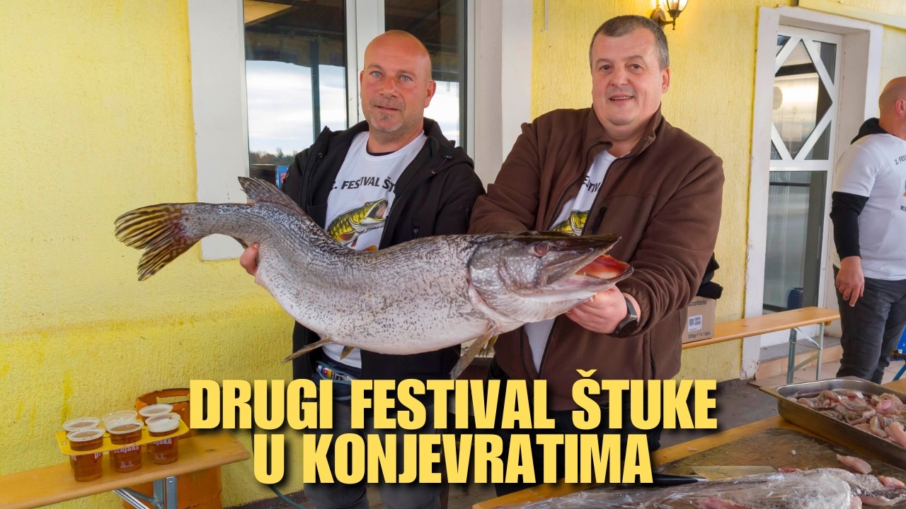 U Krki plivaju MONSTRUMI od preko 20 kg! – 2. Festival ŠTUKE u Konjevratima