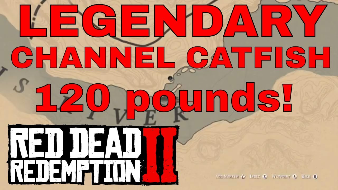 wallpapers Legendary Channel Catfish Rdr2 Location 2021 update fishing for 120lb legendary channel catfish red dead redemption 2 bmwsxbl