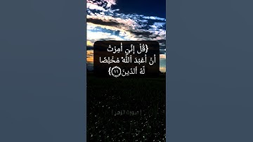 سورة الزمر الآية ١٠ الى ١٤ بصوت الشيخ محمد صديق المنشاوي