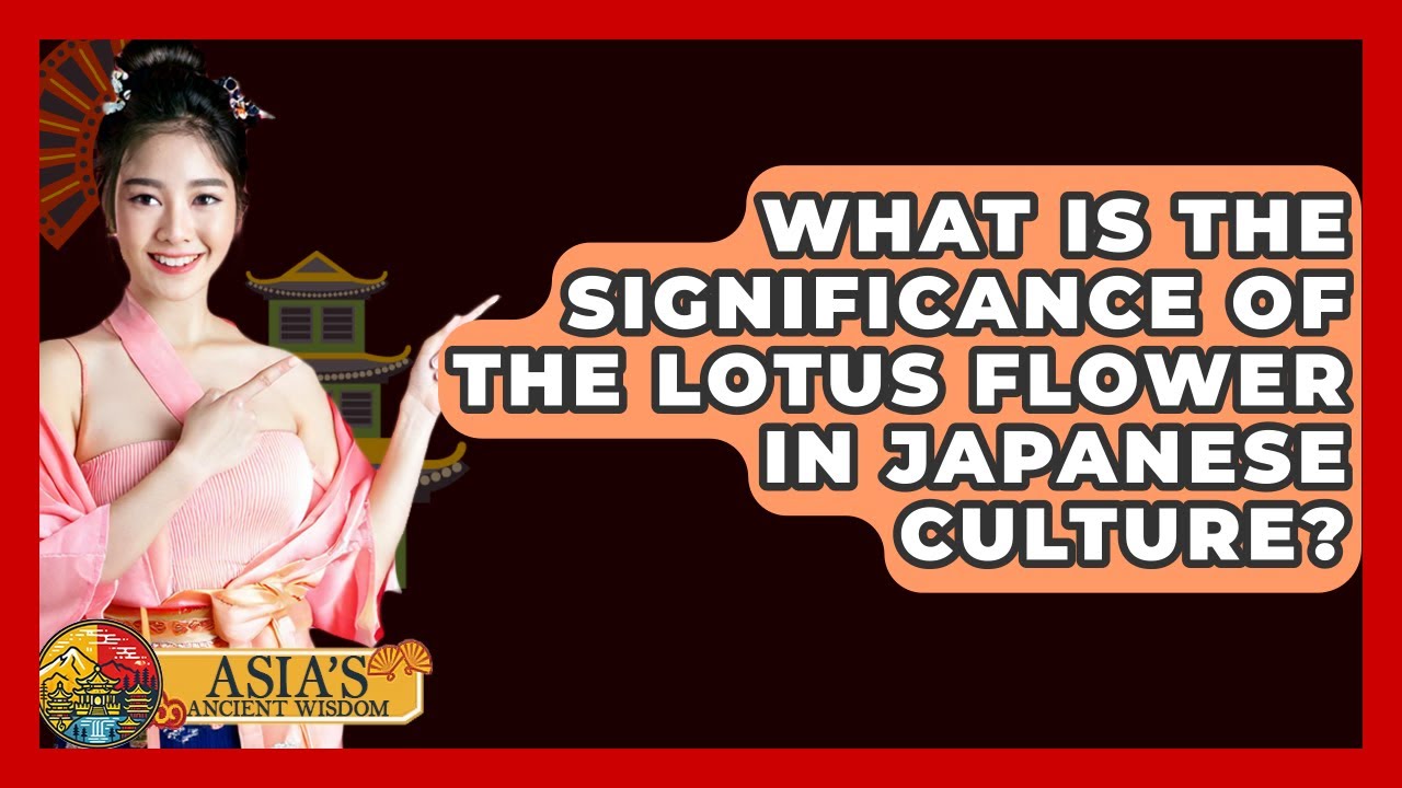 What Is The Significance Of The Lotus Flower In Japanese Culture? - Asia's Ancient Wisdom