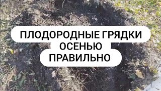 Плодородные грядки правильно Биогумус Живая почва