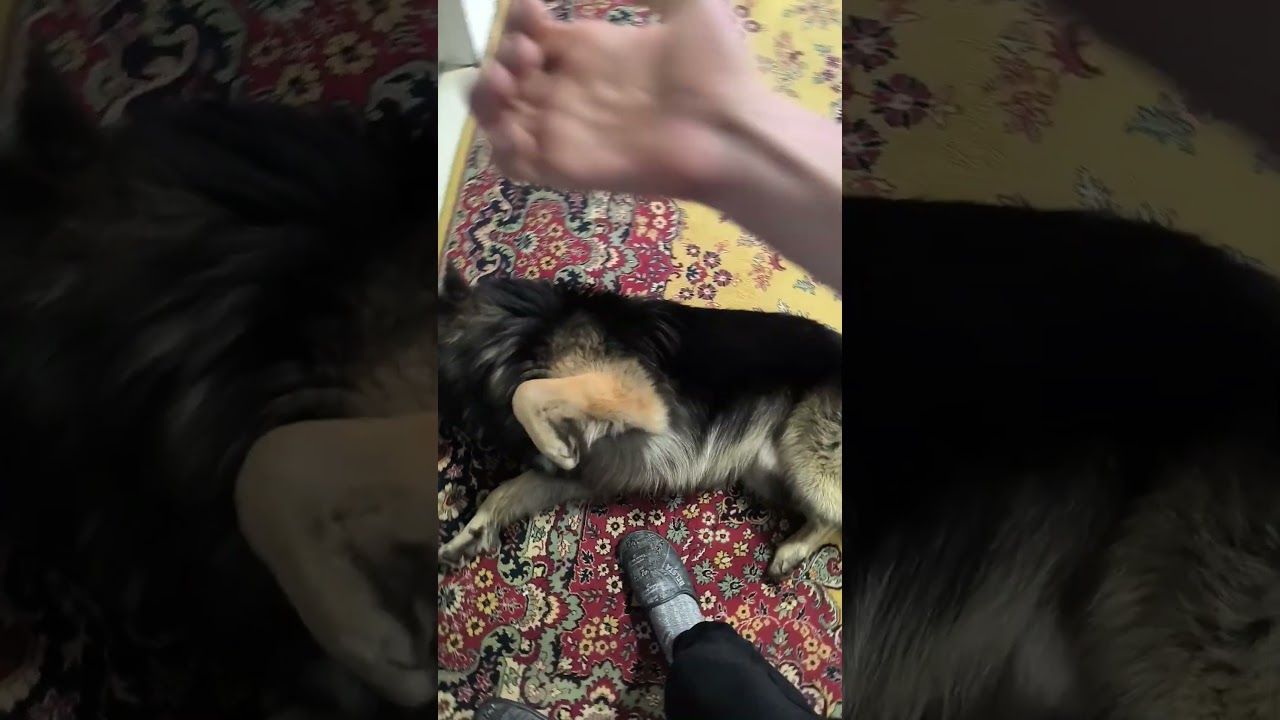 для помощи+79045334267 втб или т банк Руслан ш