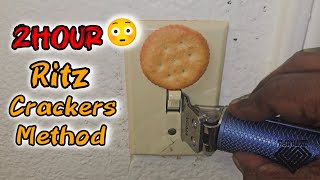 2hr Ritz Crackers Method Looped for Maximum Relaxation 😌 Autonomous Sensory Meridian Response  Ritz Cracker