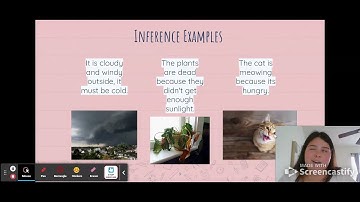 Inferences and Oservations - Google Slides