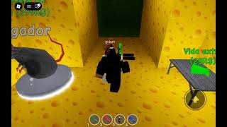 JUGANDO ESCAPA DEL RATON 