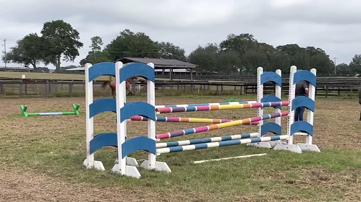 Trying Horses in Ocala, Florida