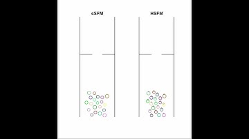 Standard VS Headed Social Force Model