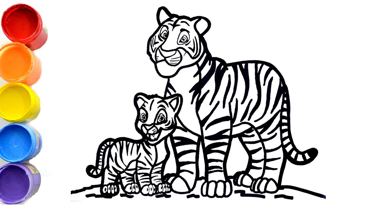 Tigre De Bengala Bebe