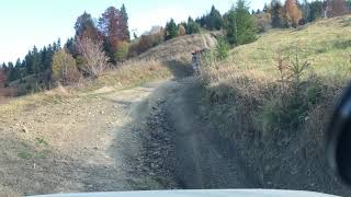 IMG 5516