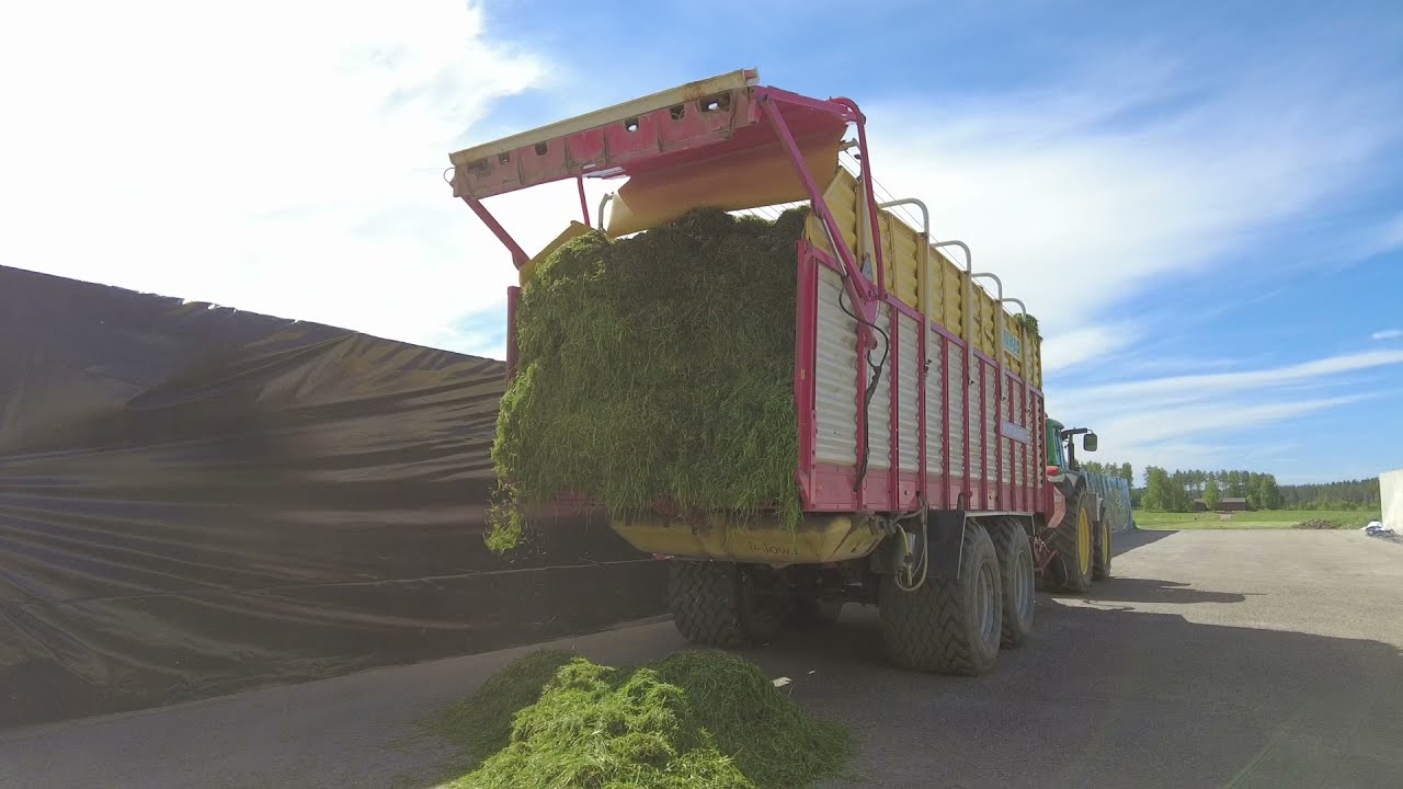 REHUNTEKO 2021 | ninana