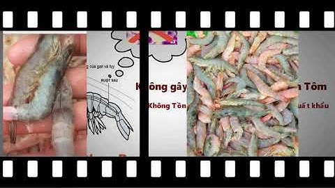 DIỆT KHUẨN AO TÔM BẰNG NANO BẠC HIỆU QUẢ THẾ NÀO?